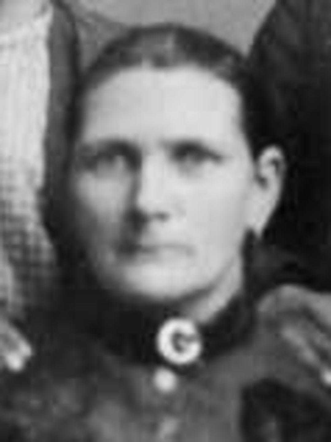 Lucy Ann Lamb (1851 - 1928) Profile